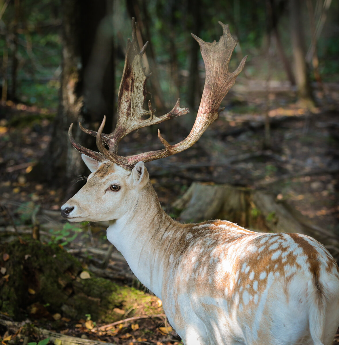 Фото из собственного архива