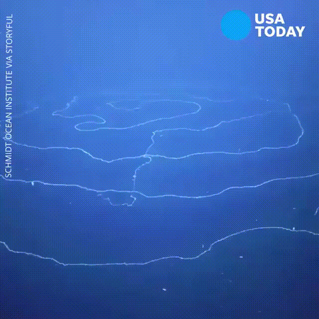 Видео: USA Today