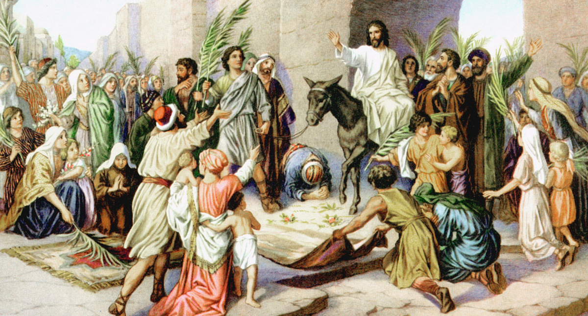 Источник: Яндекс. Почему Иисуса встречают с ветками пальмы, а не вербы - читайте ниже.