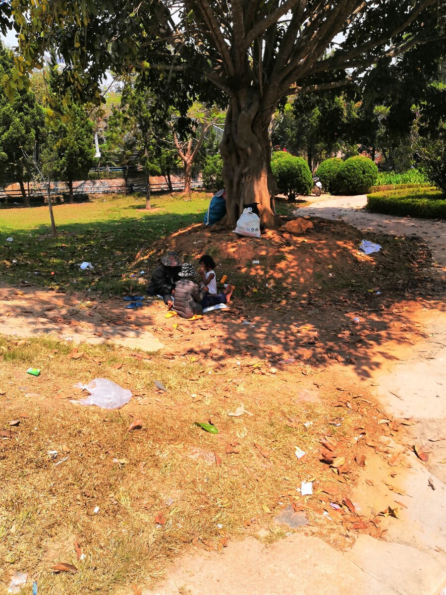 БОМЖи под деревом