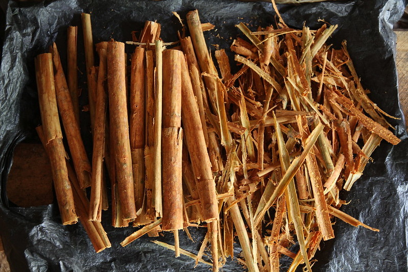 Собранная кора корицы