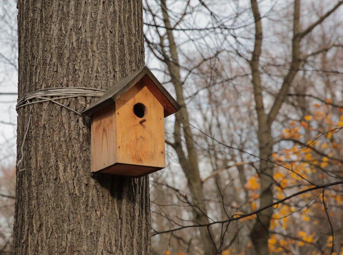 Фото из собственного архива 