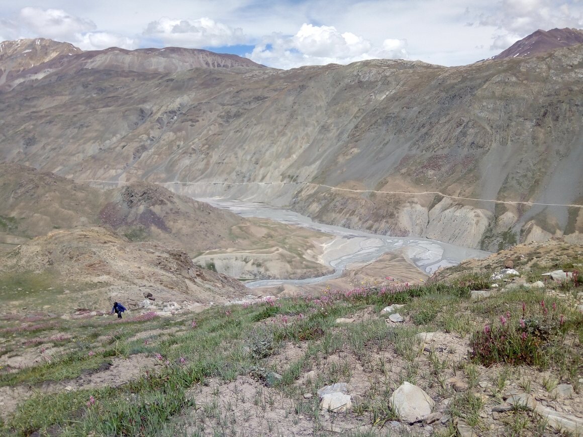 Фото из интернета