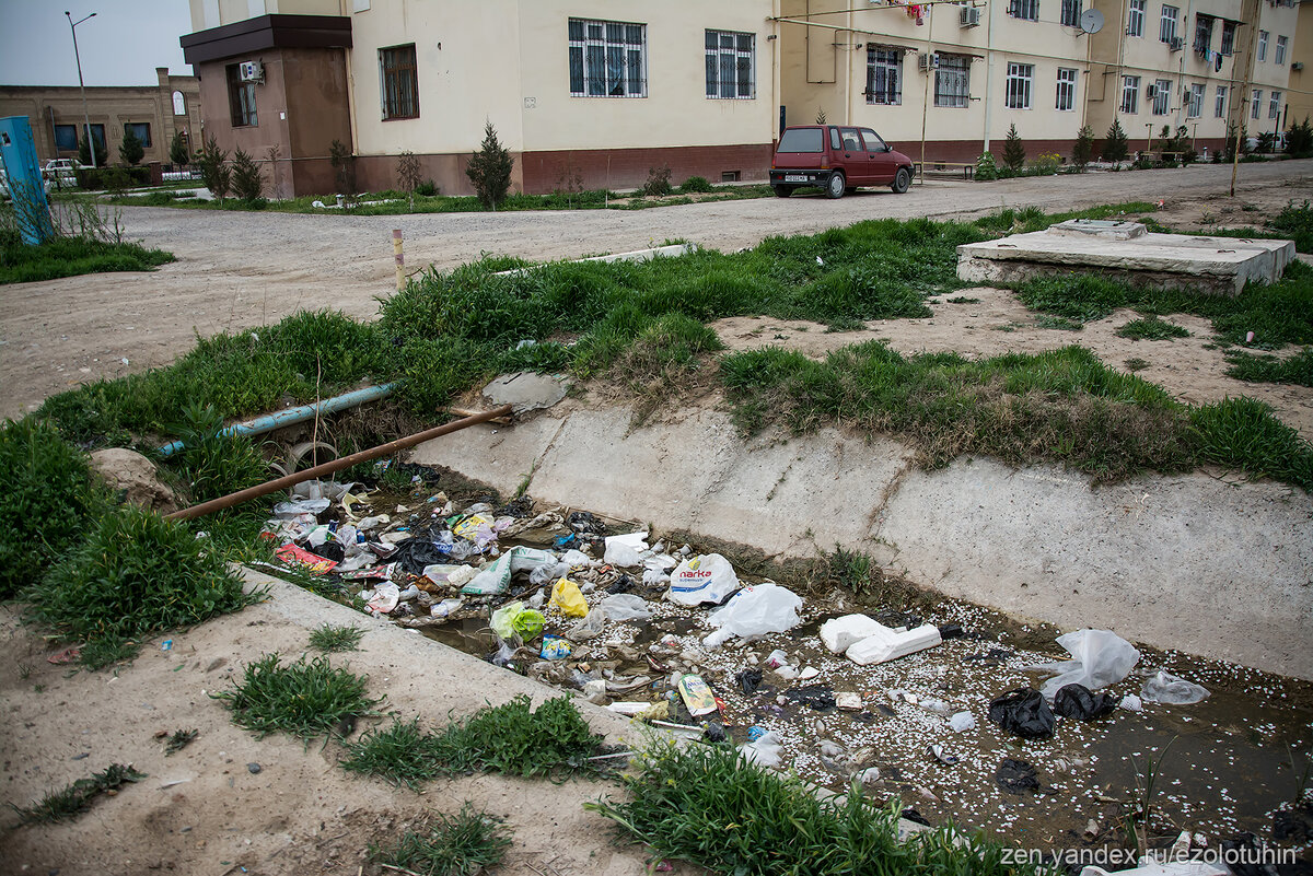 Побывал в Узбекистане в городе Карши, где дворы домов завалены мусором и  его не вывозят по несколько недель | EZOLOTUHIN | Дзен