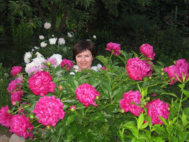 Из личного архива. На даче в цветнике соседки Валентины