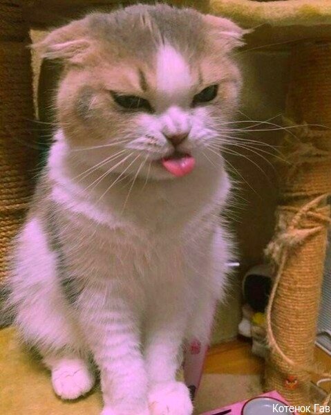 Источник: pinterest.cоm