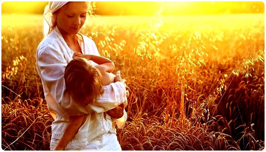 (источник изображения: https://yandex.ru/images/)