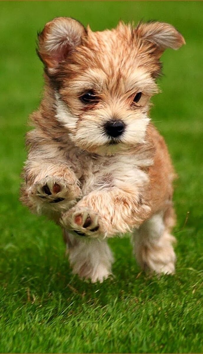 Фото взято в качестве иллюстрации яндекс фото.