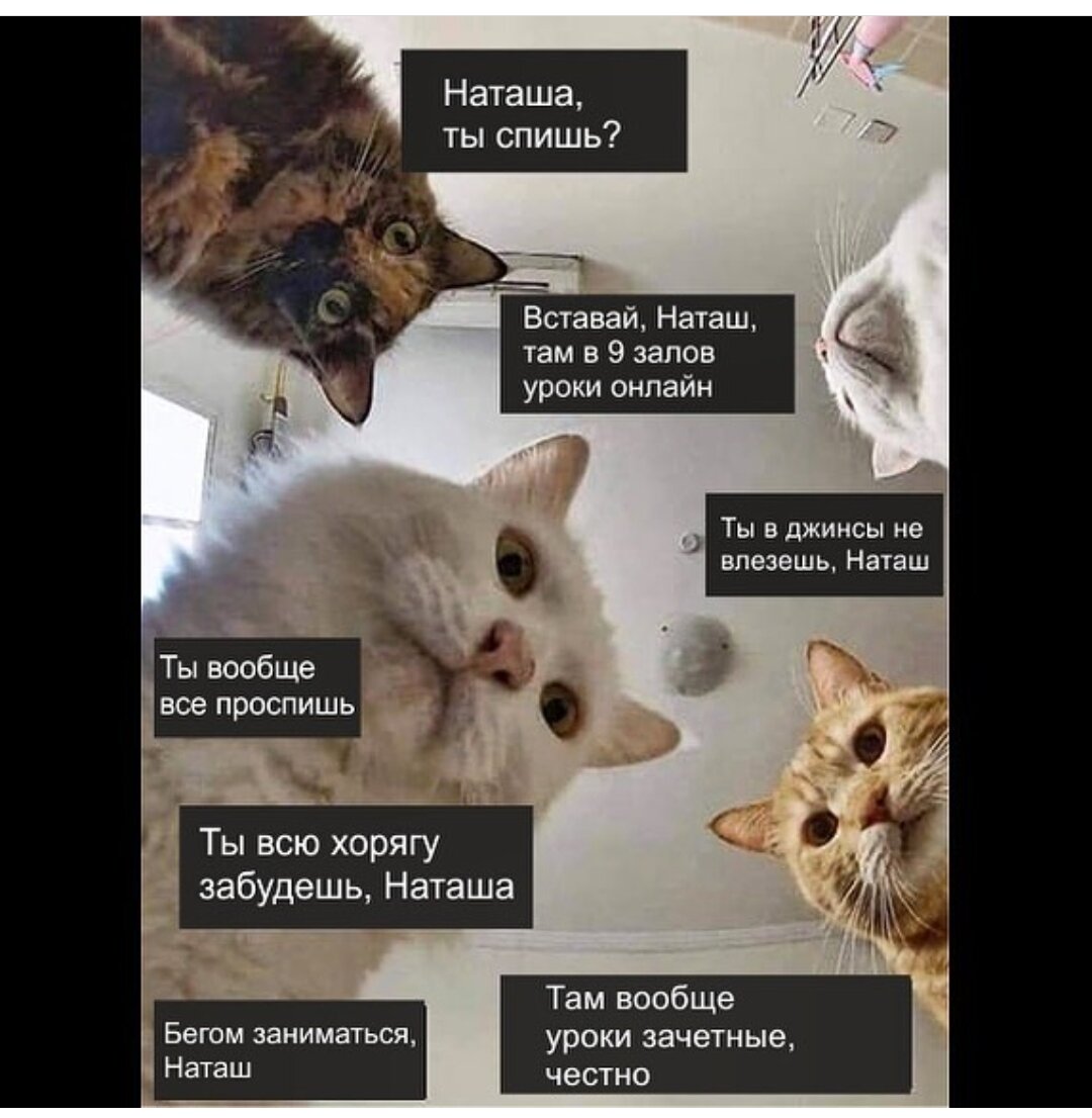 Мотивируют Наташу! 