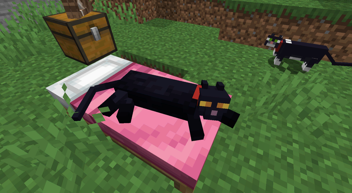 Cat mod minecraft. Кот в МАЙНКРАФТЕ. Кошка в МАЙНКРАФТЕ. Чернвйкот из МАЙНКРАФТА. Самая редкая кошка в МАЙНКРАФТЕ.