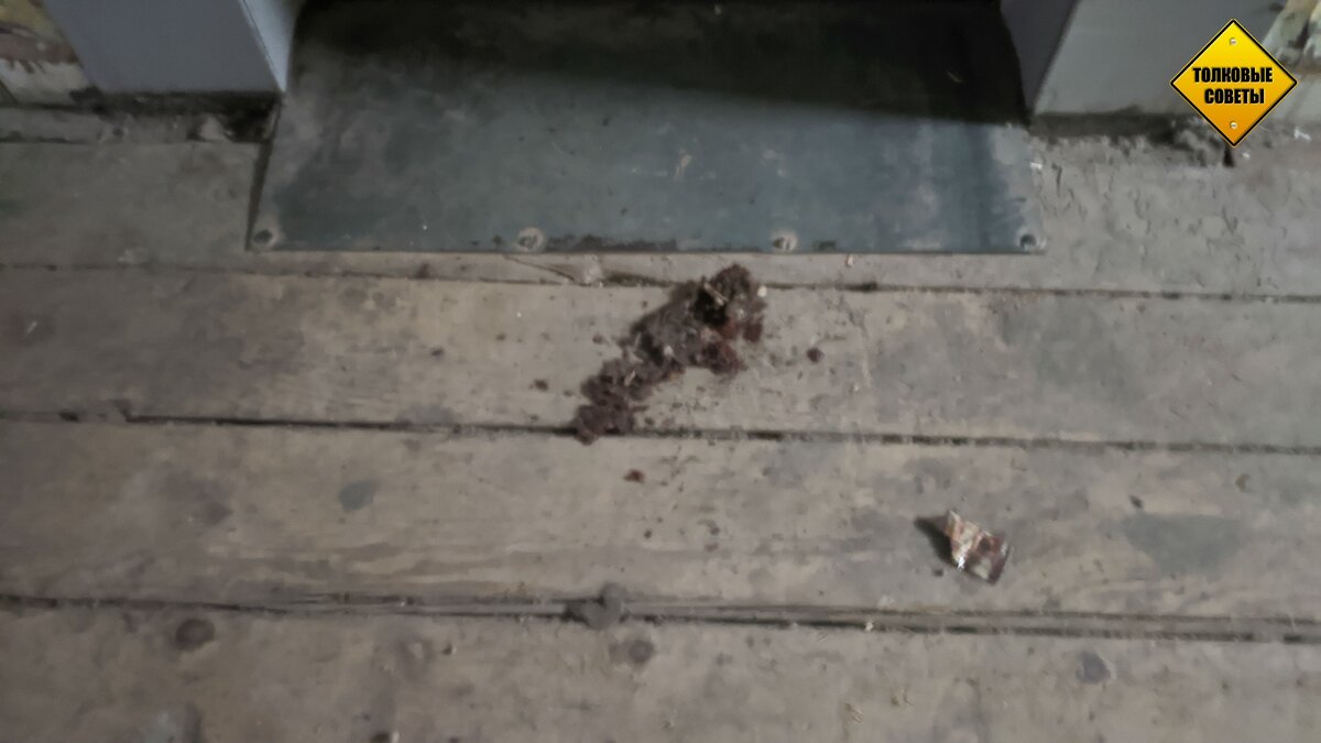 Галерея. Листай в право не стесняйся).