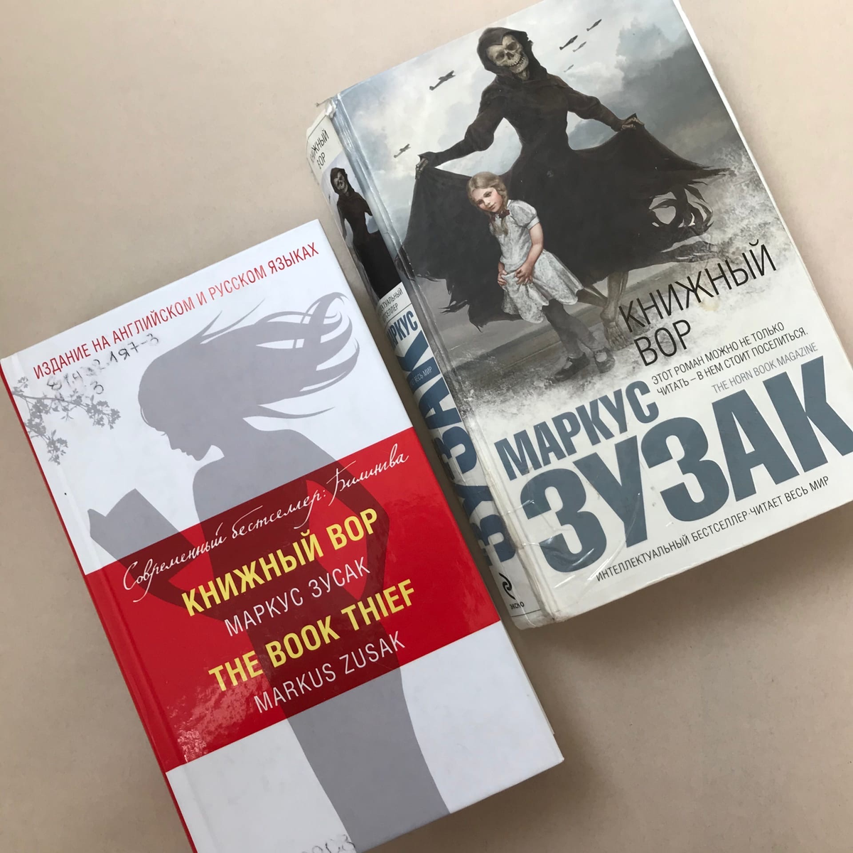 книжный вор маркус зузак иллюстрации. маркус зусак "книжный вор". маркус зузак книжный. маркус зузак книжный. книжный вор обложка книги.