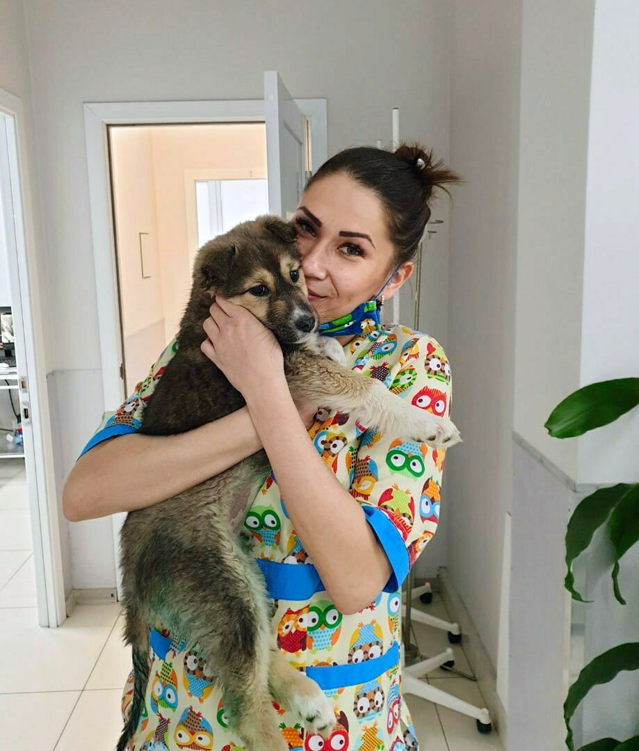 Мария Гильмутдинова. Соучредитель приюта «Оглянись» в Новоуральске и ветеринар клиники при приюте «Везунчик» в Екатеринбурге