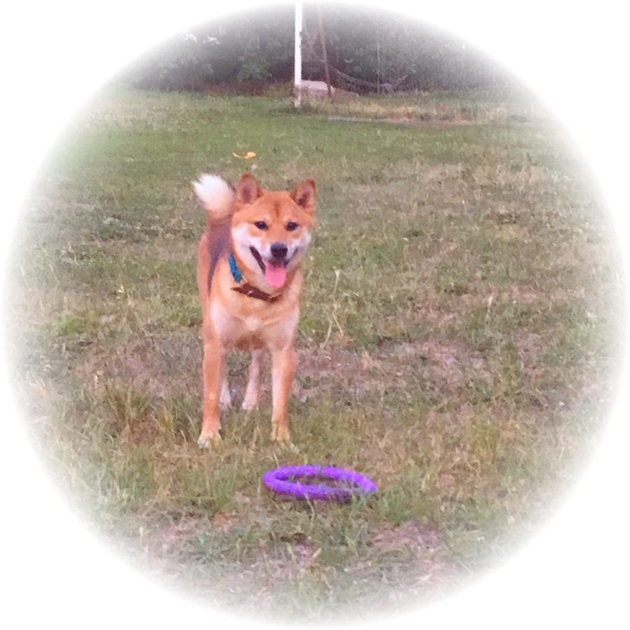 У Тимо в городе 41 градус жары, Тимо жарко, он лыс и все лень