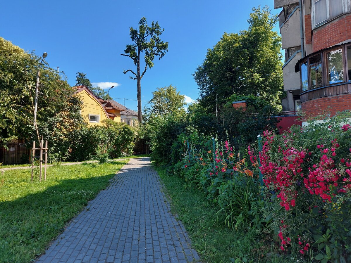 Жилой массив прилегающий к водоёму.