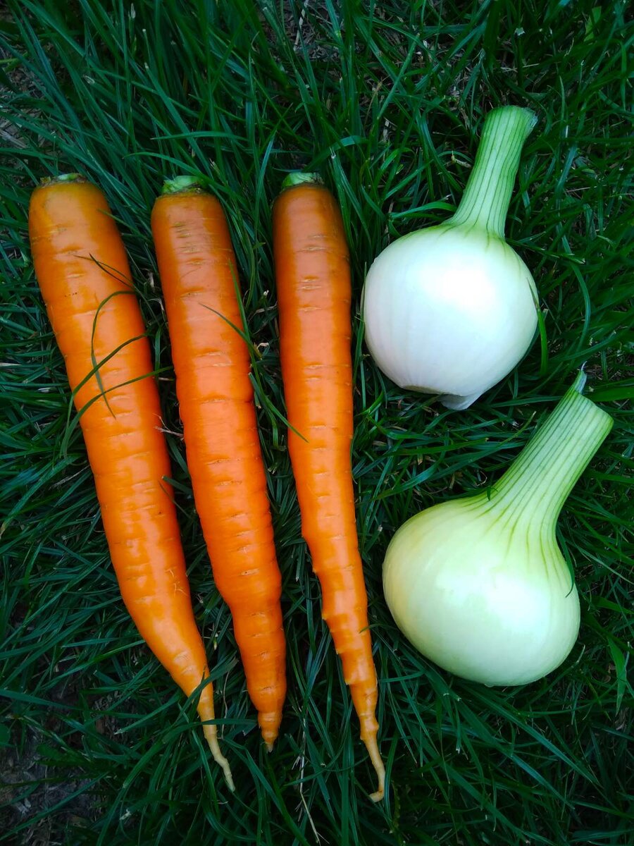 Карамелизованные овощи придают бульону особый вкус