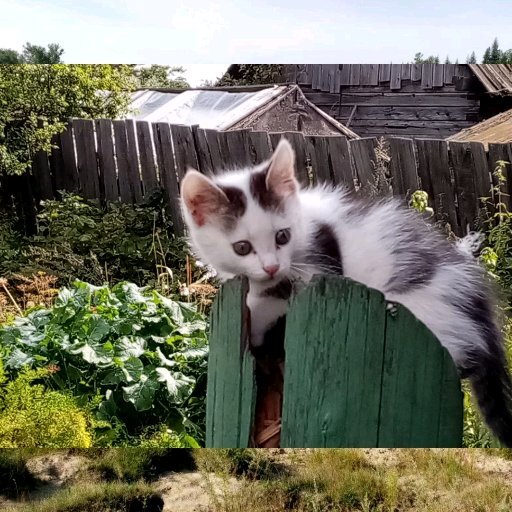 "Любопытство не порок, а познание мира". Личные фотографии.