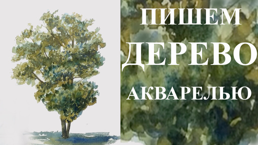 Уроки рисования. Как рисовать дерево акварелью. Показан один из способов написания дерева акварельными красками. Поэтапное рисование.