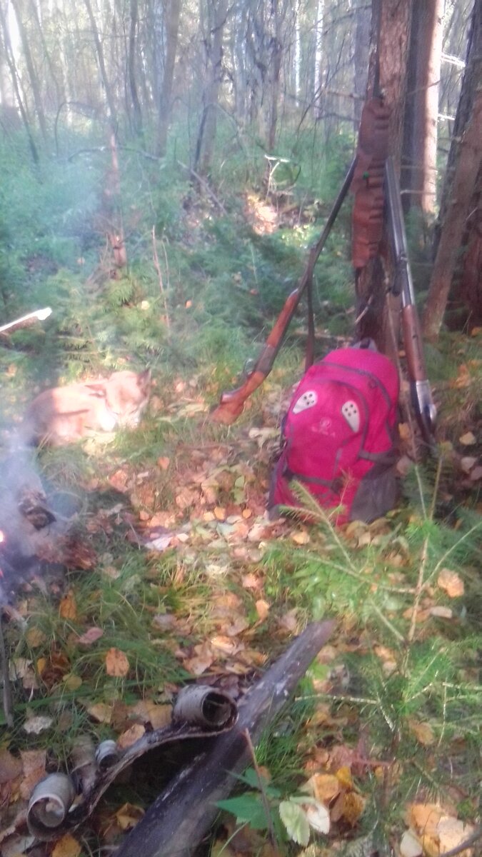 Фото автора. На привале.