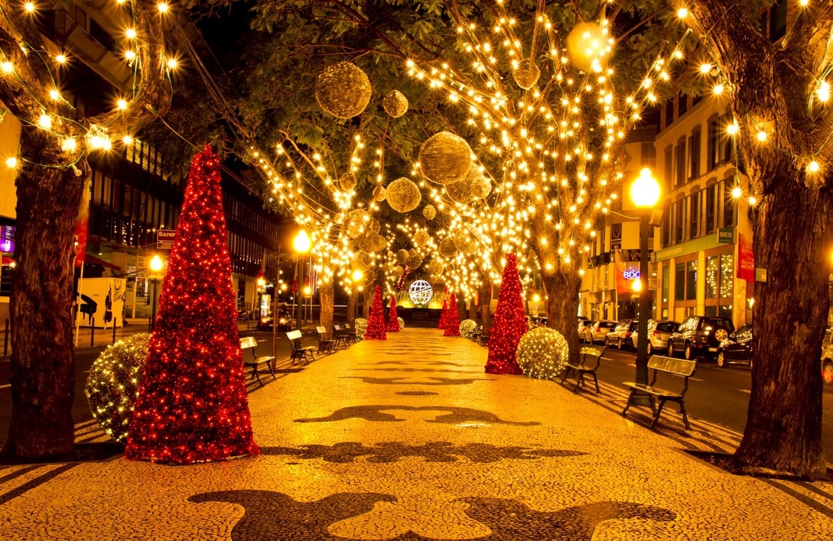 Фото взято из Яндекс картинки