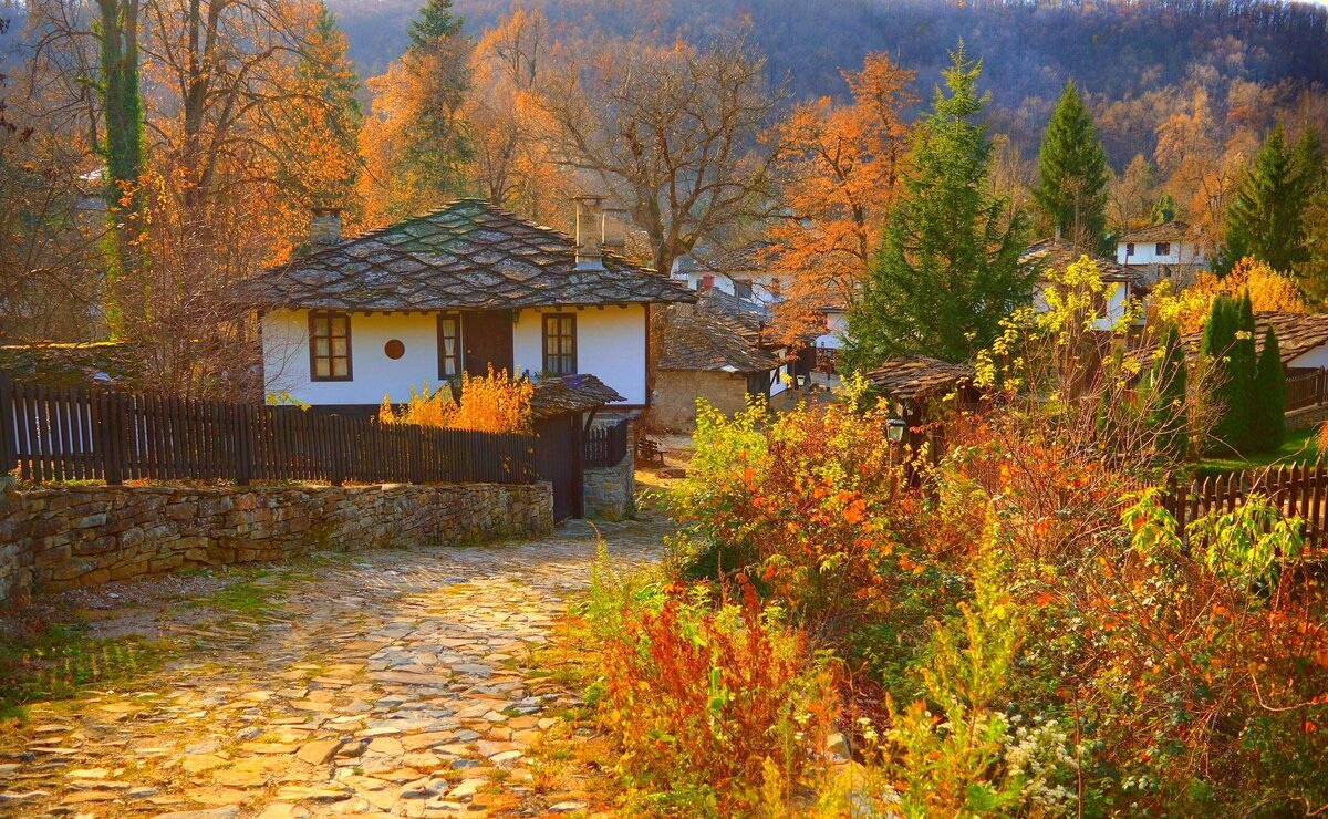 https://www.goodfon.ru/download/derevnia-doma-osen-dorozhka-autumn-fall-village-colors-path/3000x1849/