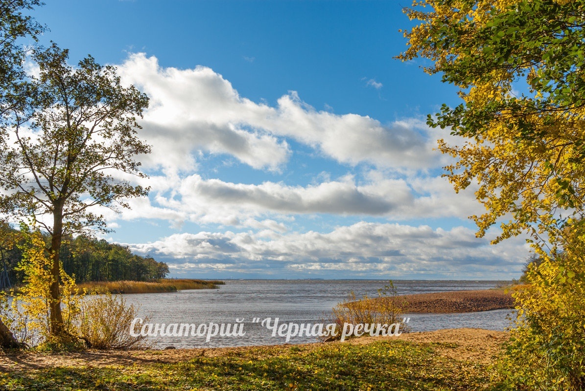 берег Финского залива у санатория Черная речка