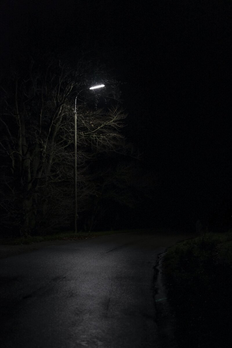 фото взято с сайта https://unsplash.com/