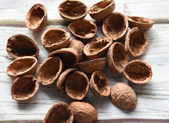 Скорлупа грецких орехов