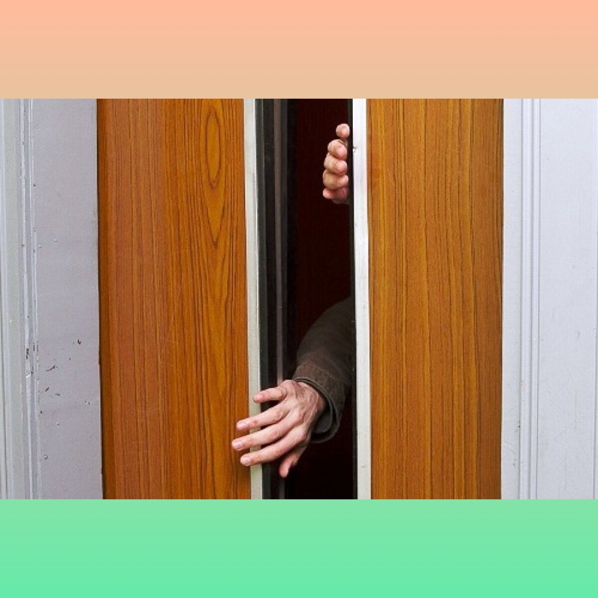 Из открытых источников.