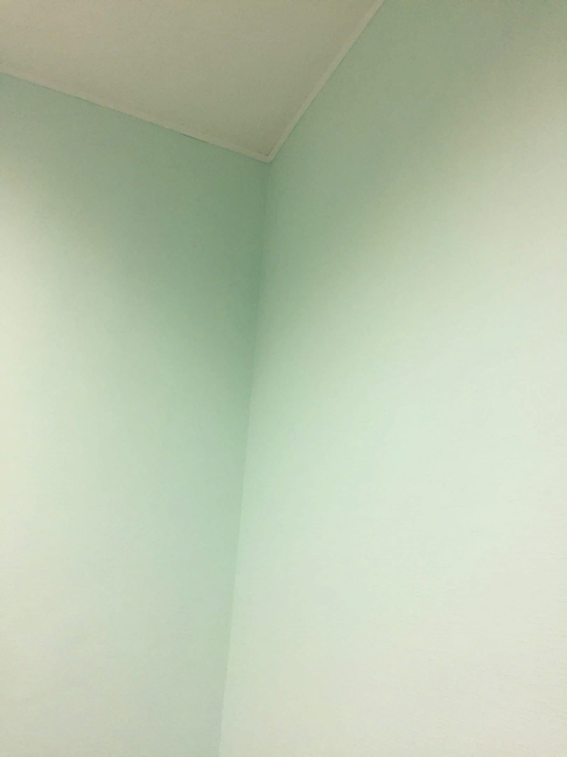 обои новые красивые