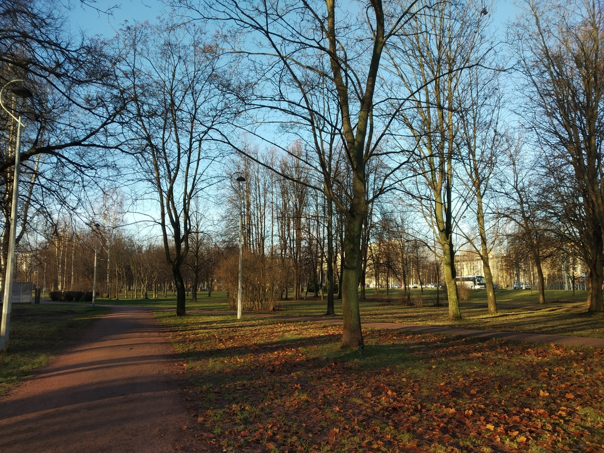 Фото автора