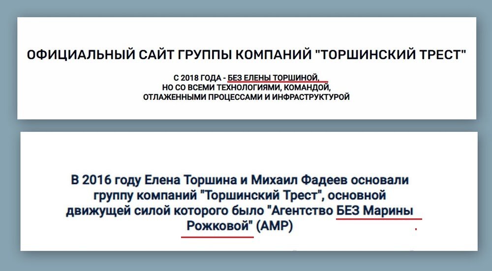 Бывший партнёр Елены называет свой сайт: "Без Елены Торшиной" по привычке: после развода с женой его бизнес назывался "Агентство без Марины Рожковой". Источник: сайт torshina.ru. Фадеев сделал его после бизнес-развода с Торшиной, чтобы перехватывать в поисковой выдаче клиентов, которые гуглили по запросу “Елена Торшина”