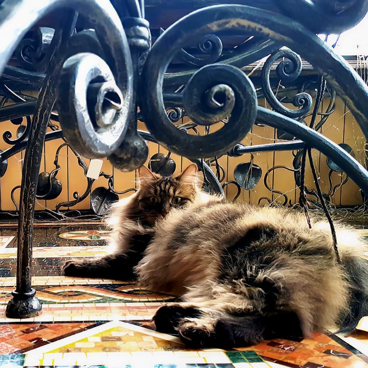 Уютная ковка