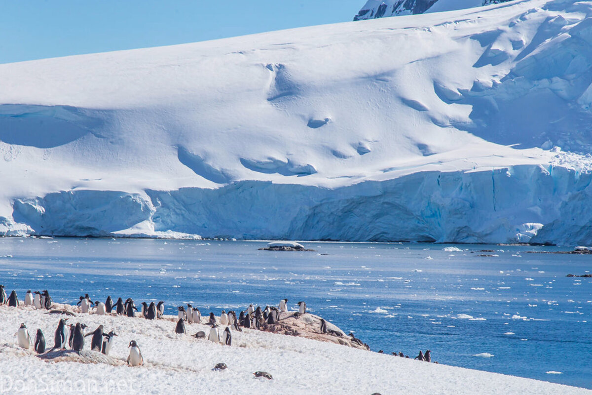 Иллюстрация из интернета 