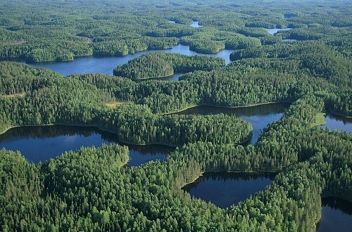 Российские просторыТайга