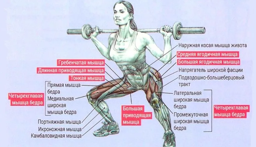 Источник: http://andrologmed.ru/