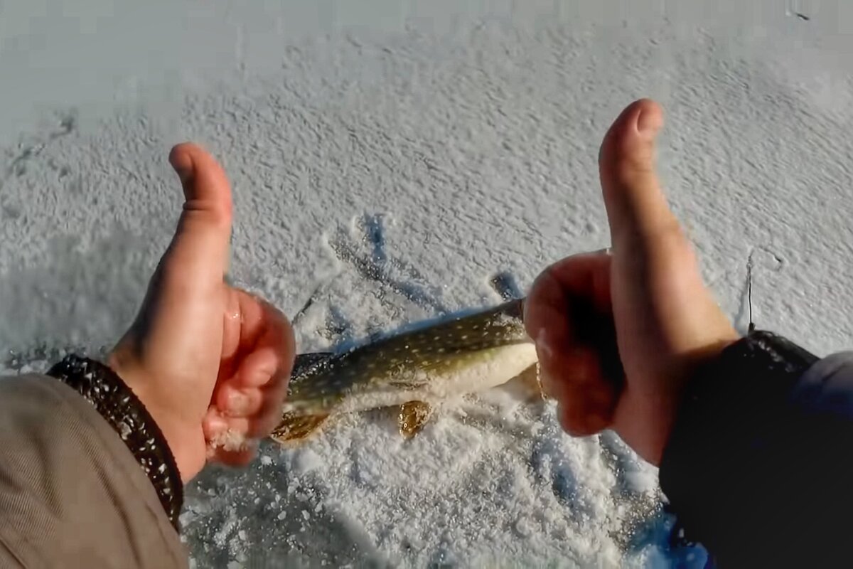 -2-3