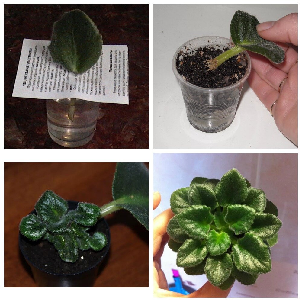 Взято из открытых источников