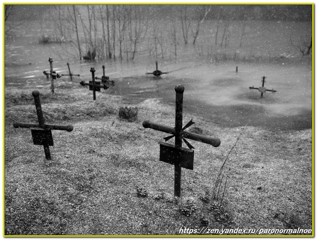 Источник фото: Яндекс.Картинки