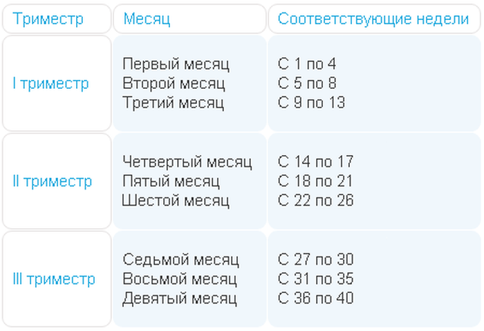 Беременность периоды беременности сколько длится