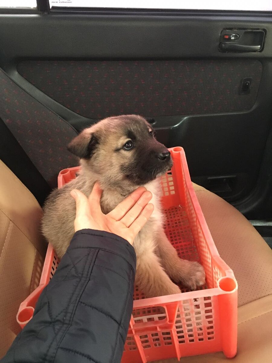 наше первое знакомство