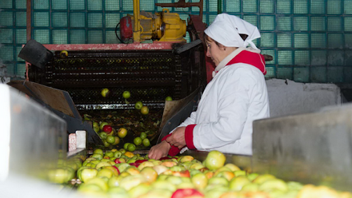 Фото: Новости ПМР