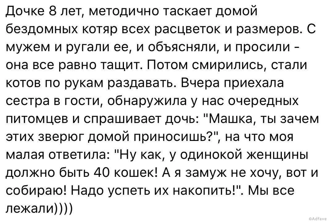 Жизненные истории. Смешные истории из реальной жизни. Смешные истории из жизни детей. Интересная история из жизни короткая. Смешные истории читать.