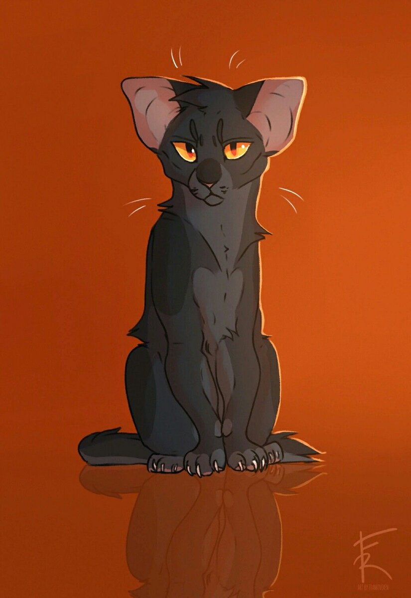 Рикки.  Картинка взята из интернета. 