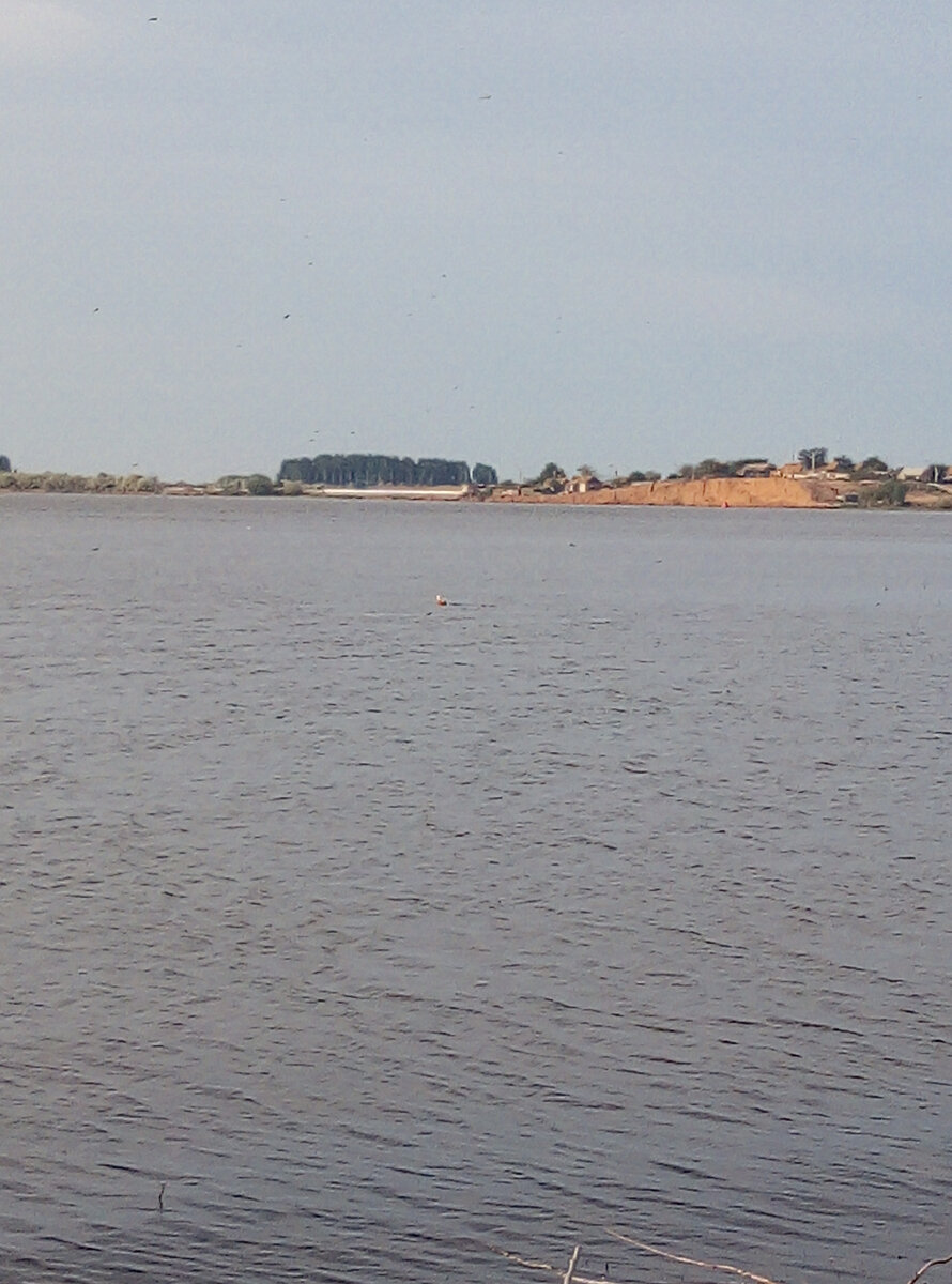 Вот это чудище, что спать мешает.