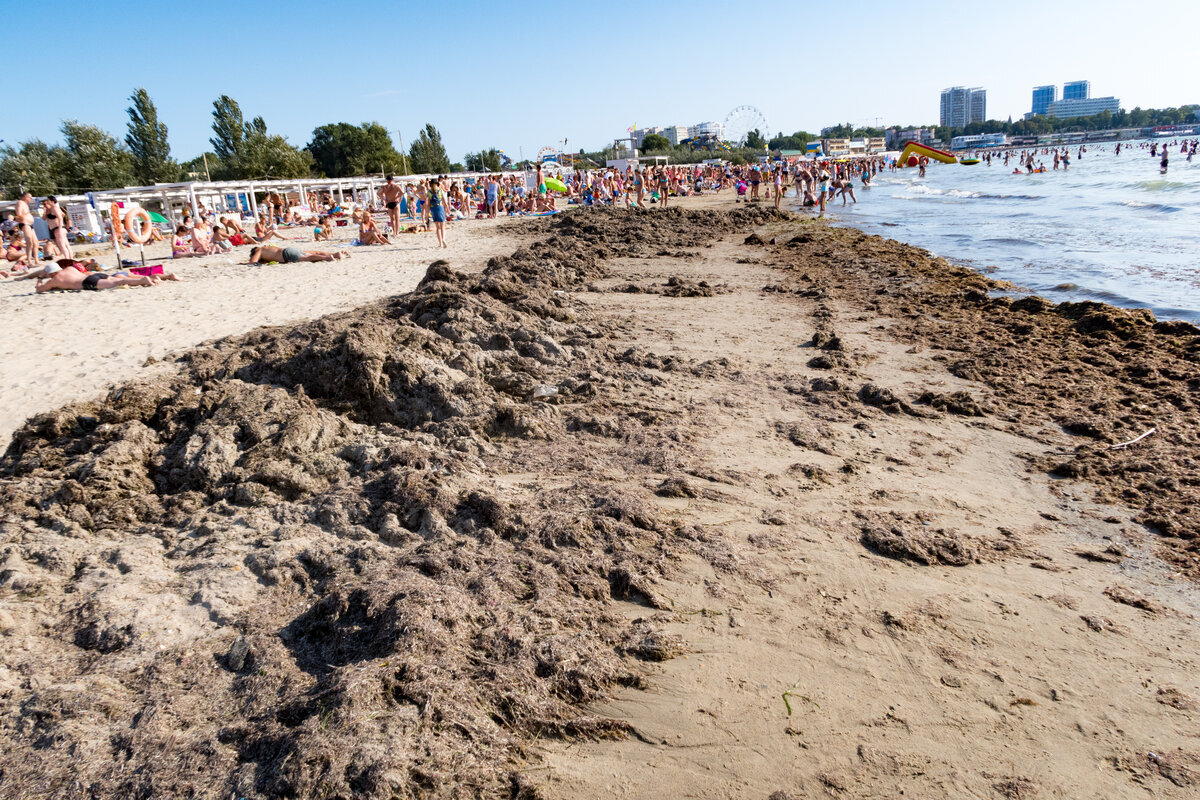 Анапа центральный пляж. Анапа море Центральный. Анапа море Центральный пляж. Пляжный отдых в августе 2019. Пляжи Анапы название.