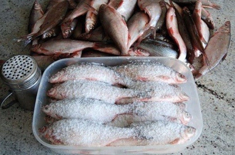 Засолка рыбы и вяление в домашних условиях | Как засолить рыбу