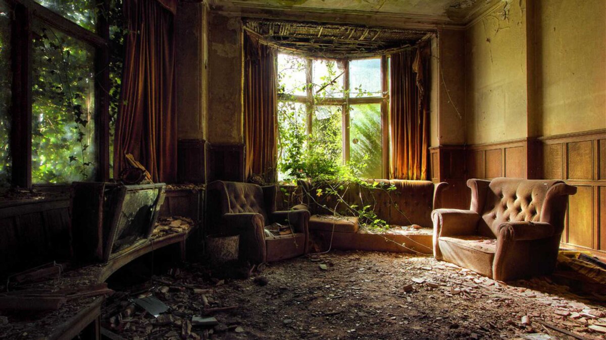 Фото взято из открытого источника