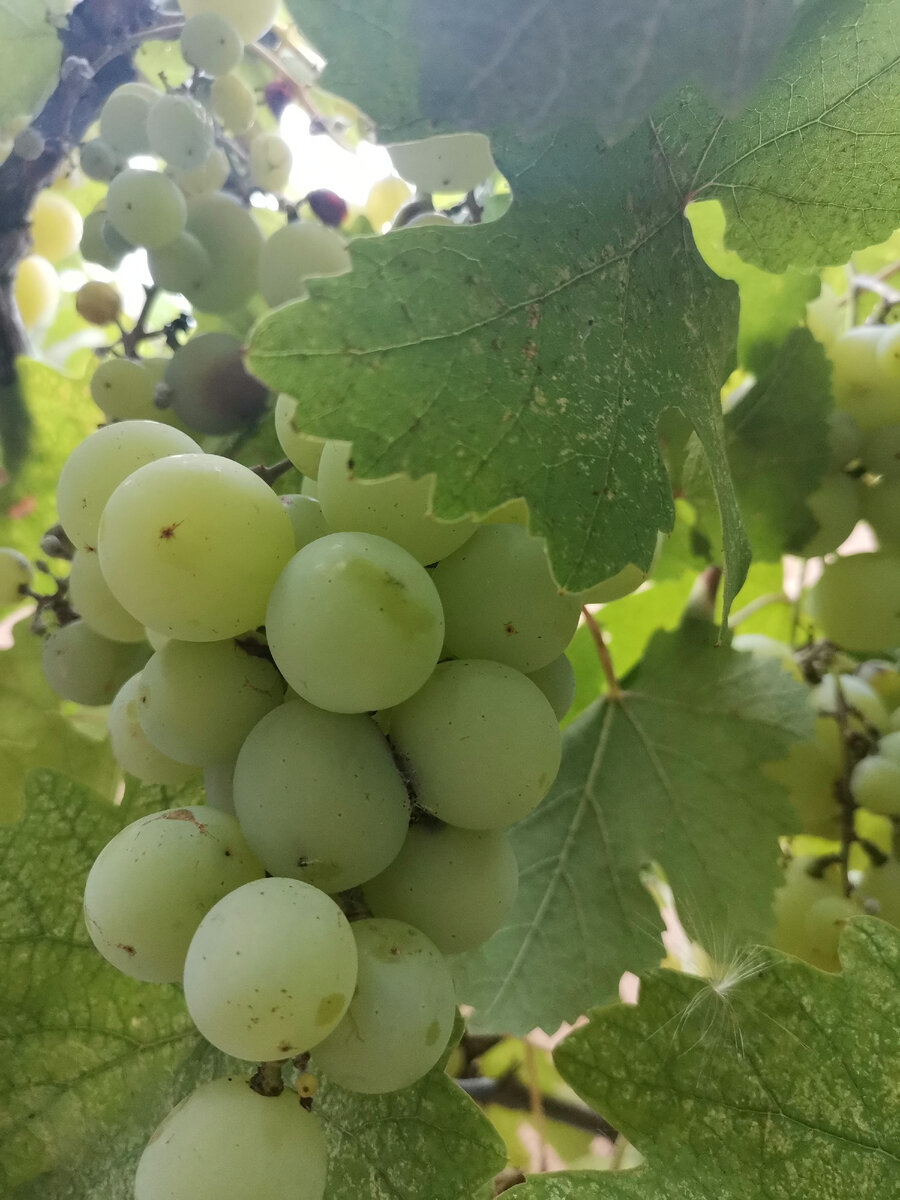 Из личного архива 2021 