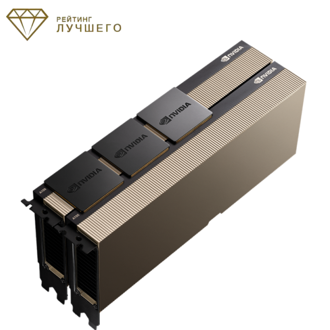 PNY Nvidia A100 40GB (TCSA100M)